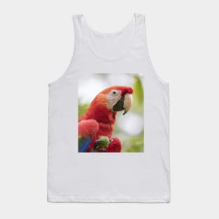 Scarlet Macaw Tank Top